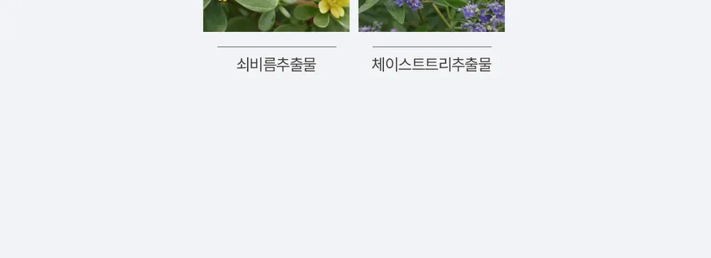 [컨실러 본품 증정]루나 롱래스팅 컨실 쿠션(본품+리필+컨실러) 상세페이지 34